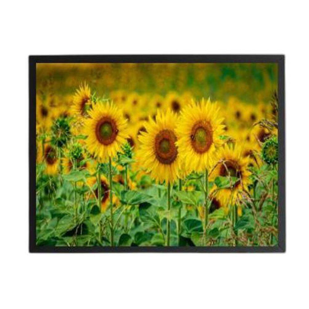 Quadro Fotografia Girassóis 24X18Cm