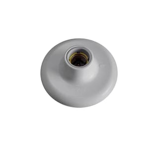 Plafon Pp Bocal Porcelana Branca 100W Ilumi C10