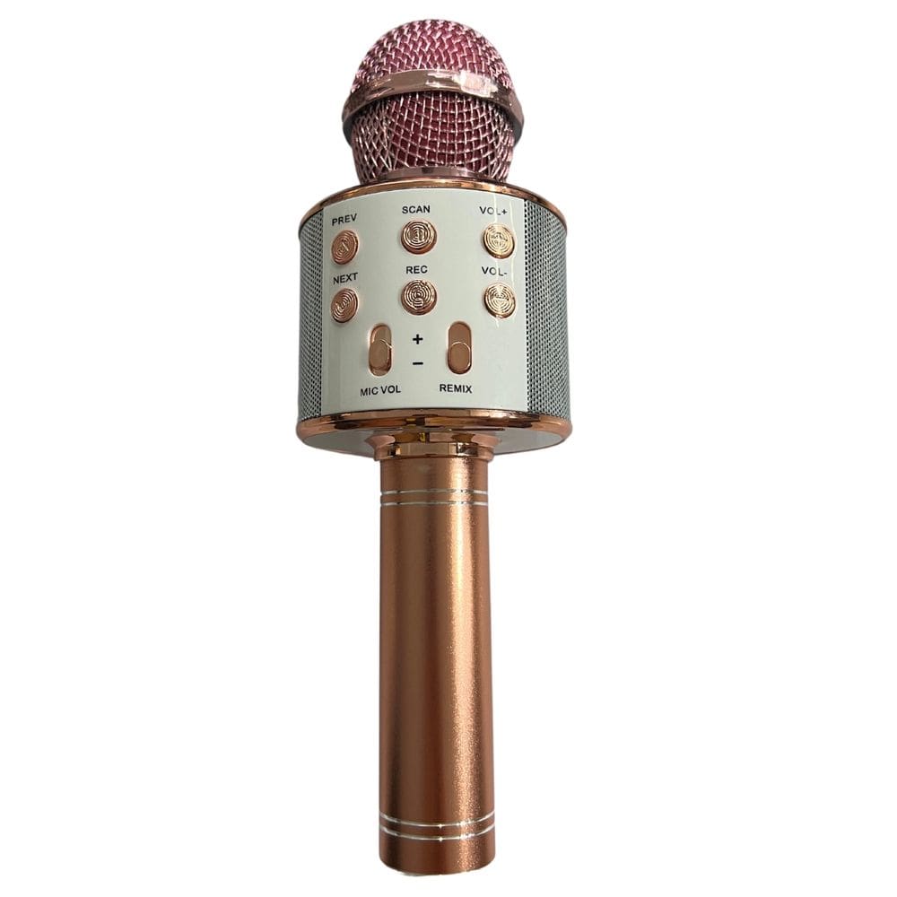 Microfone Karaoke Bm-241 B-max 66