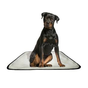 Tapetes Higiênicos Laváveis Shelby Moda Pet 1Un G2 120X120Cm