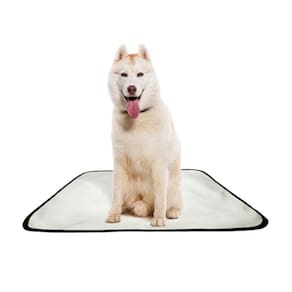 Tapetes Higiênicos Laváveis Shelby Moda Pet 7Un G 90X100Cm