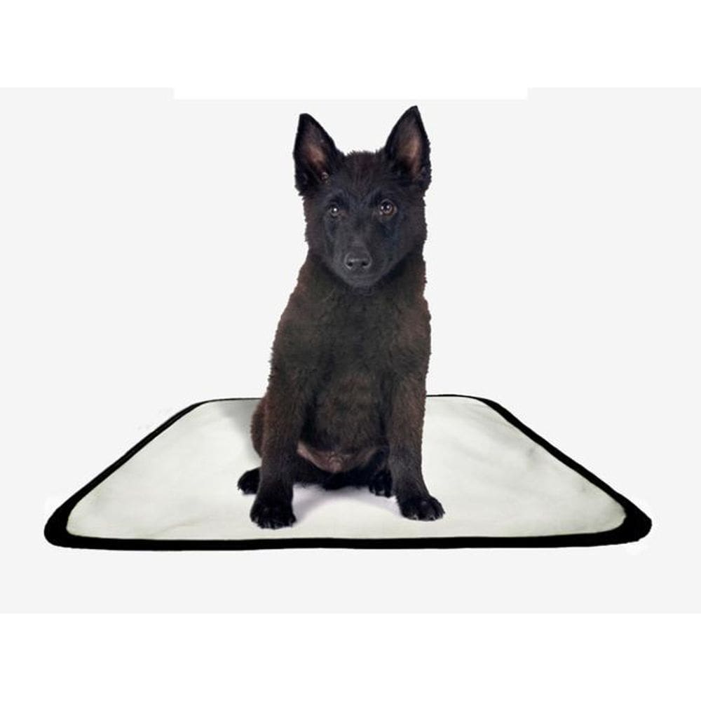 Tapete Pet Lavável Educador Higiênico 3 Un P 50X60Cm