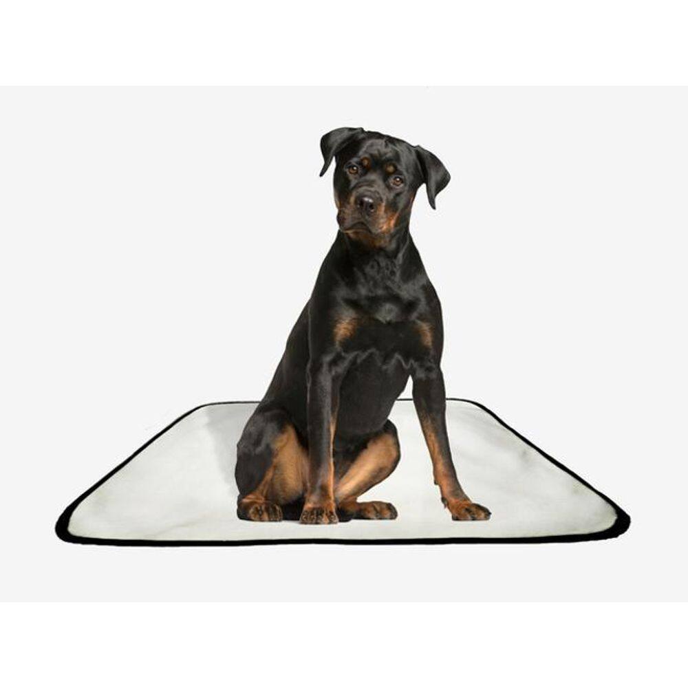 Tapete Pet Lavável Adestramento Higiênico 5 Un G 90X100Cm