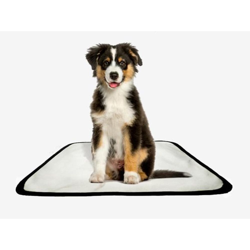 Tapete Pet Lavável Adestramento Higiênico 1 Un P 50X60Cm