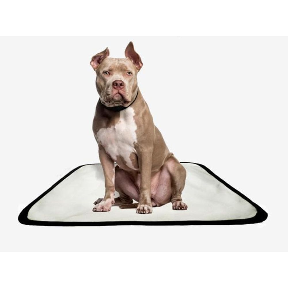 Tapete Pet Lavável Adestramento Higiênico 10 Un P1 50X70Cm