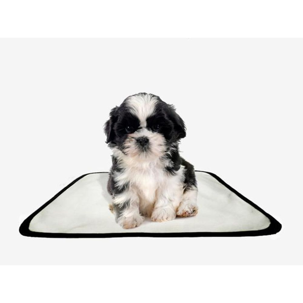 Tapete Pet Lavável Educador Higiênico 5 Un Pp 40X50Cm