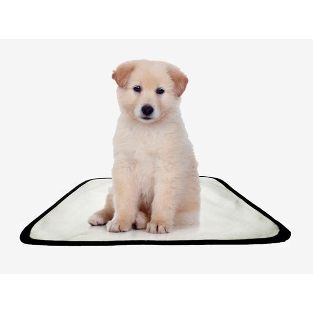 Tapete Pet Lavável Adestramento Higiênico 5 Un Pp 40X50Cm