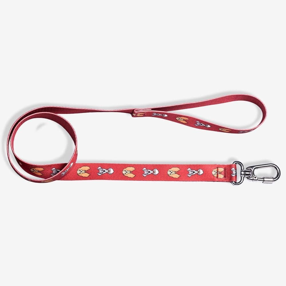 Guia Zc Pets A Dama E O Vagabundo - Disney M