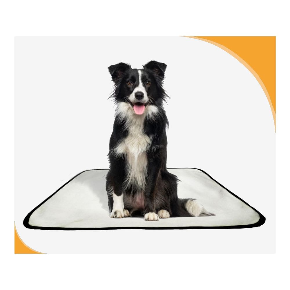 Tapete Para Cães Higiênico Ecológico 1 Un M 60X80 Cm