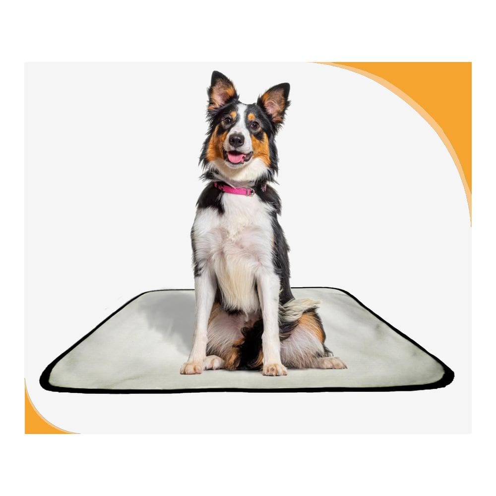 Tapete Para Cães Fazerem Xixi Educar Pet 2 Un M 60X80 Cm