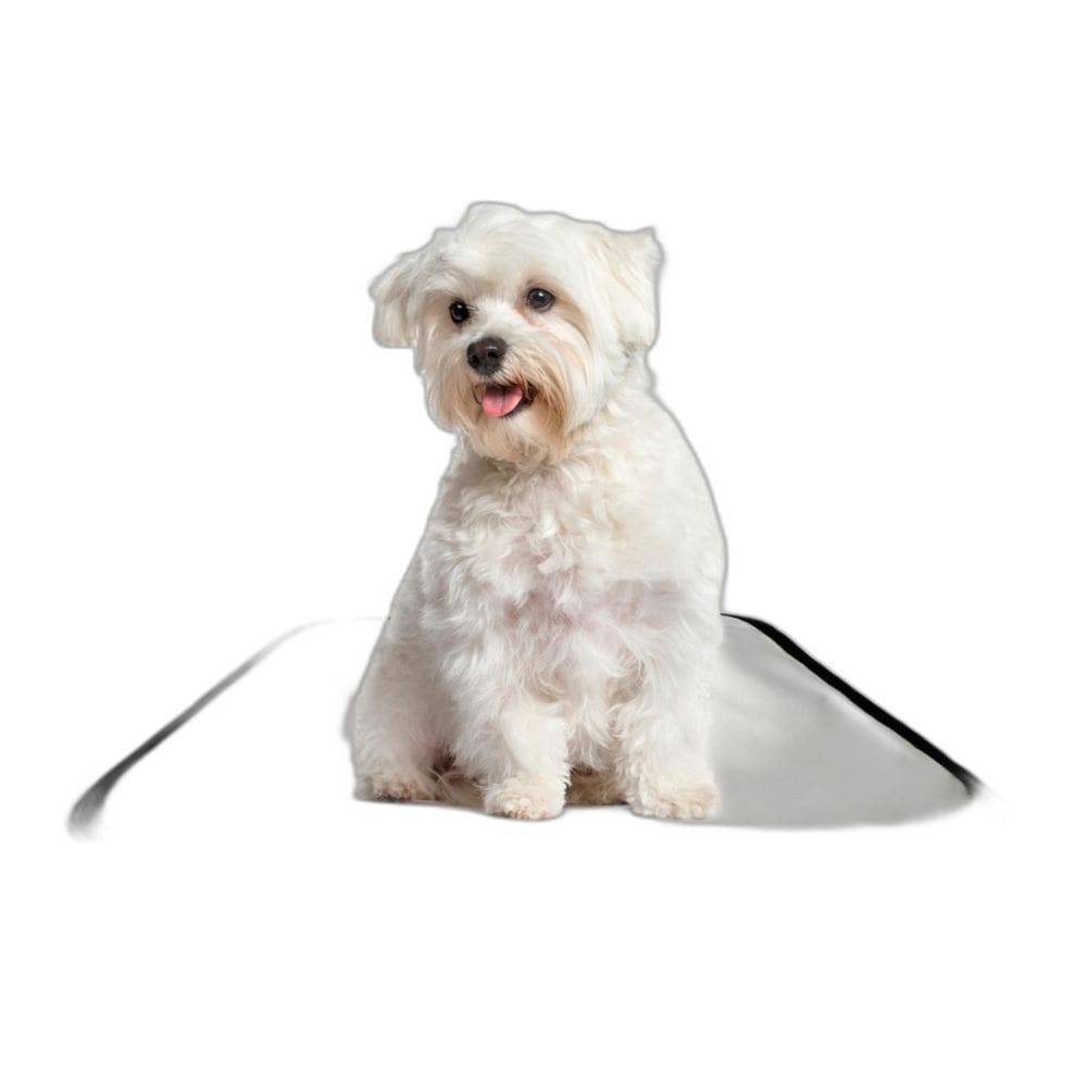 Tapete Pet Lavável Prático Estratégico 1 Un P 50X60Cm