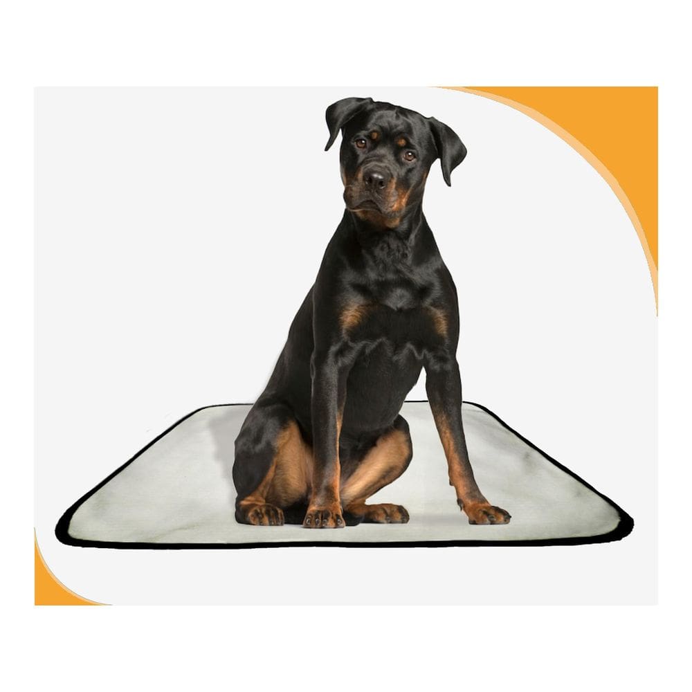 Tapete De Treinamento Canino Lavável 1Un G 90X100 Cm