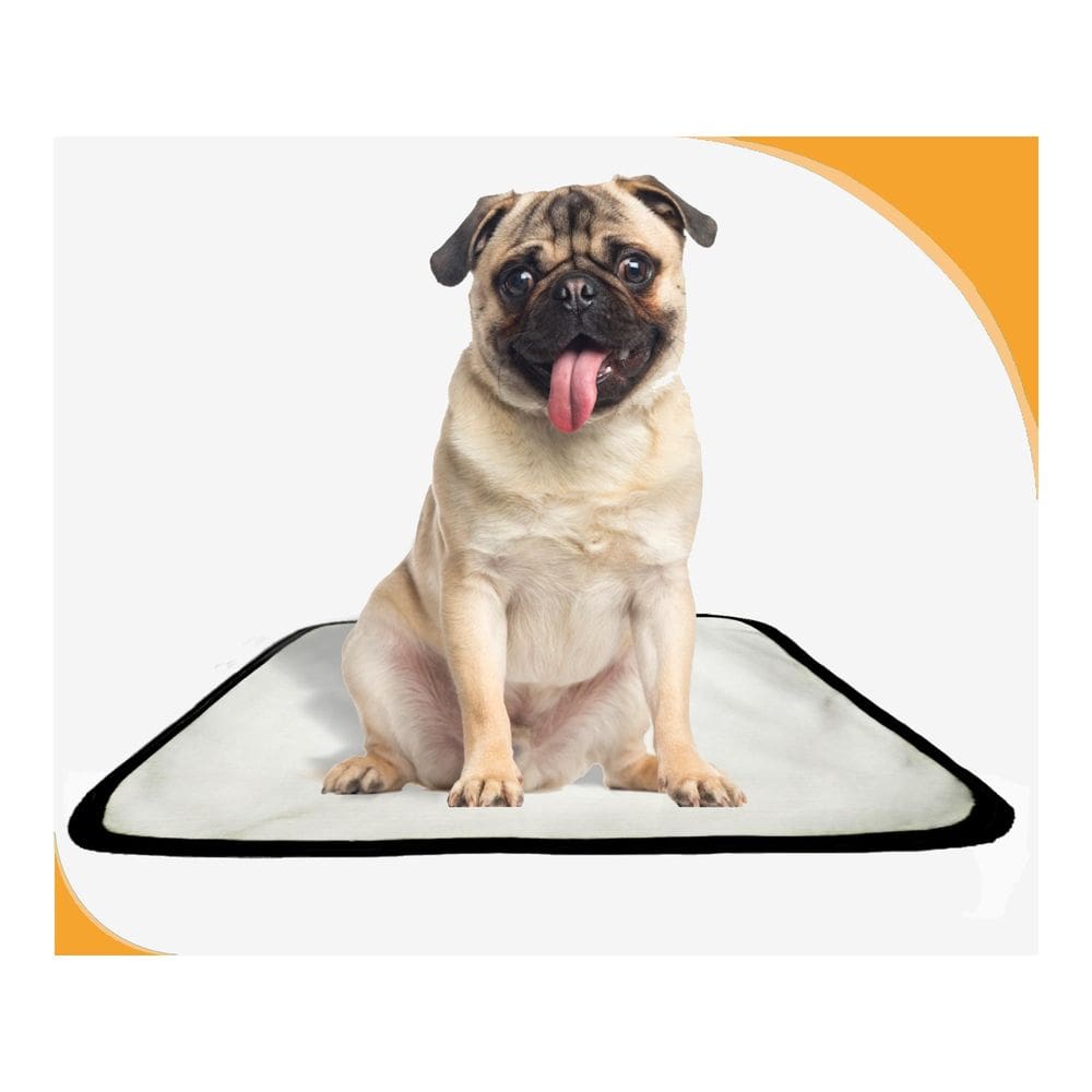 Tapete Para Cães Higiênico Ecológico 2 Un P1 50X70Cm