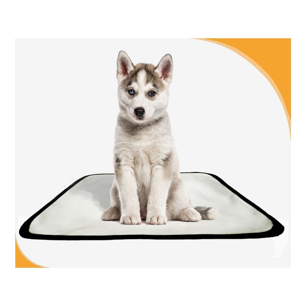 Tapete Para Pets Lavável Higiênico Prático 4 Un P 50X60Cm