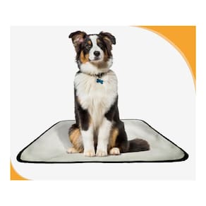 Banheiro Canino Móvel Reutilizável Pet 2Un G 90X100Cm