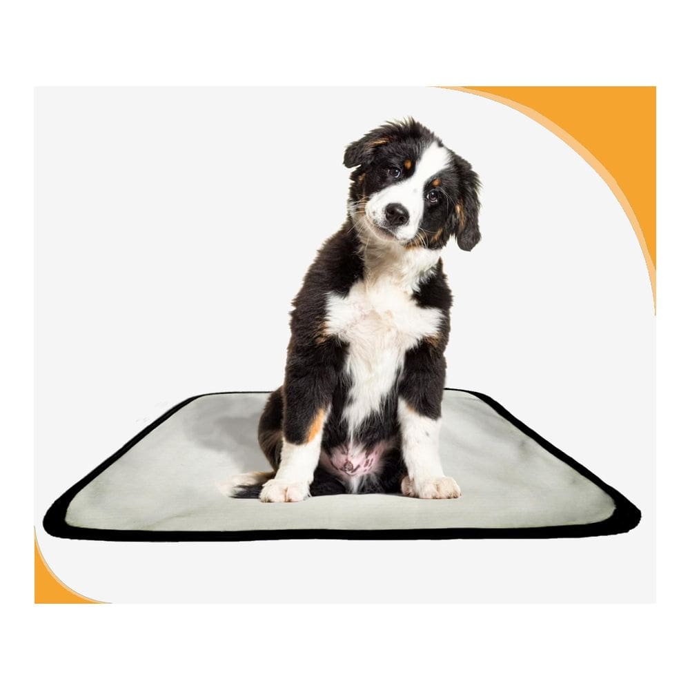 Tapete Para Cães Fazerem Xixi Educar Pet 2 Un P 50X60 Cm