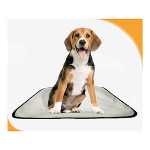 Tapete Higiênico Canino Absorvente Pet 5 Un M - 60 X 80 Cm