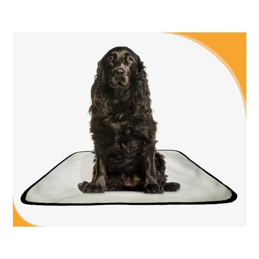 Tapete Dog Higiênico Lavável Absorvente 2 Un M - 60X80 Cm