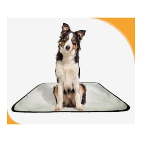 Banheiro Canino Móvel Reutilizável Pet 5Un M 60X80 Cm