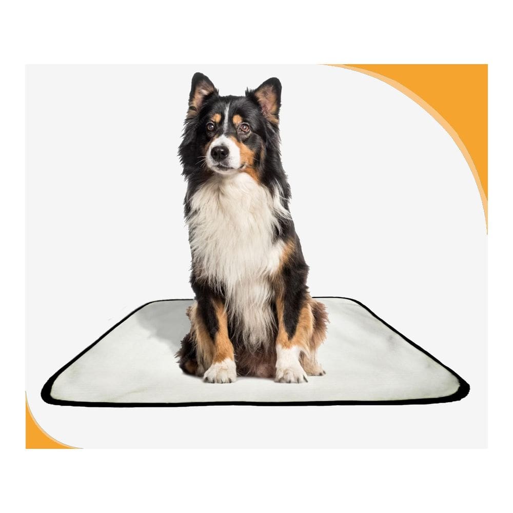 Tapete Para Cães Prático Ecológico 4 Un M1 70X100 Cm