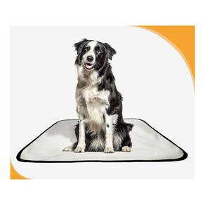 Tapete Canino Pet Prático Estratégico 5 Un M 60X80 Cm