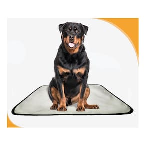 Tapetes Higiênicos Pet Lavável Absorvente 1 Un G 90X100 Cm