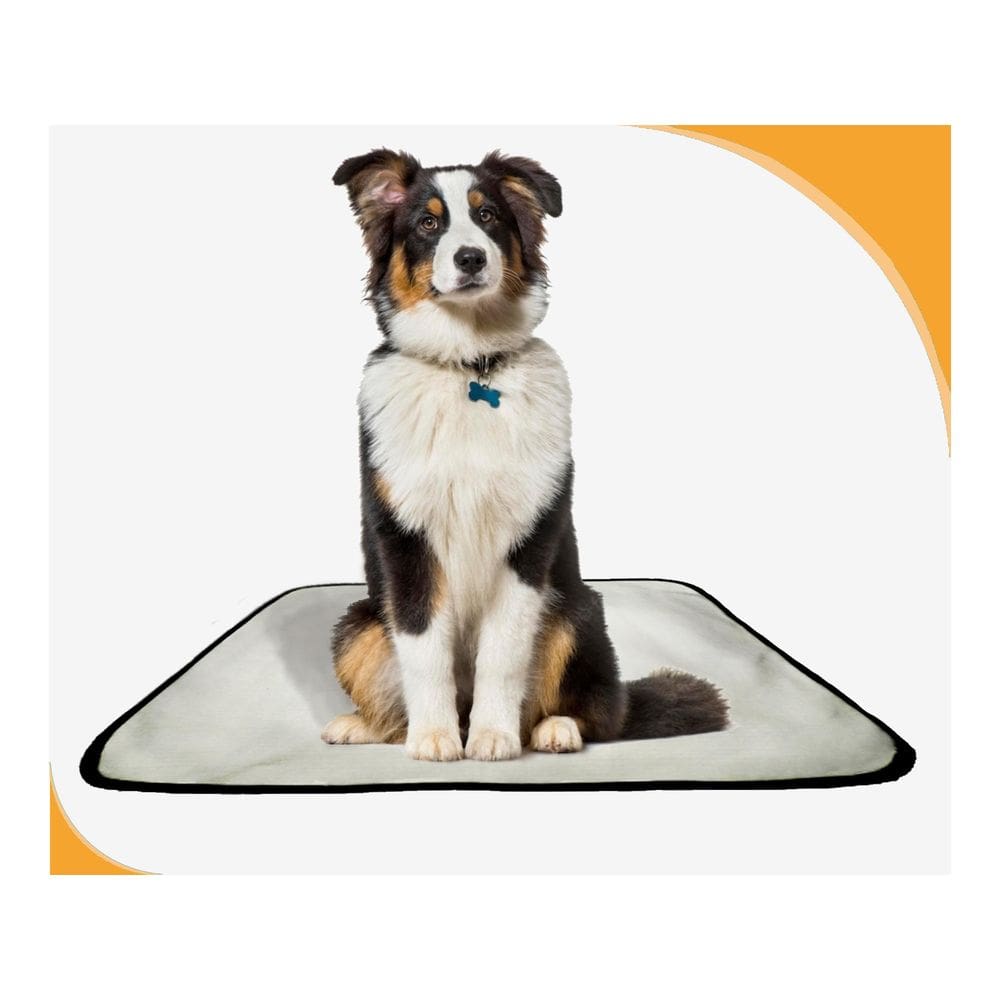 Banheiro Canino Móvel Reutilizável Pet 10Un G 90X100Cm