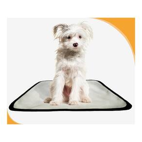 Banheiro Canino Móvel Reutilizável Pet 3Un P 50X60 Cm