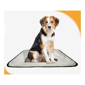 Tapetes Higiênicos Pet Lavável Absorvente 4 Un M - 60X80 Cm