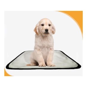Banheiro Para Cães Higiênico Lavável 2 Un P - 50 X 60 Cm