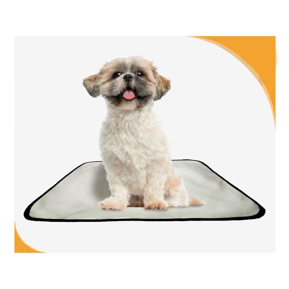 Tapete Reutilizável Adestramento Higiênico 1Un P - 50X60 Cm