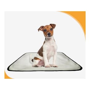 Tapete Dog Para Cães Lavável Absorvente 4 Un M - 60X80 Cm