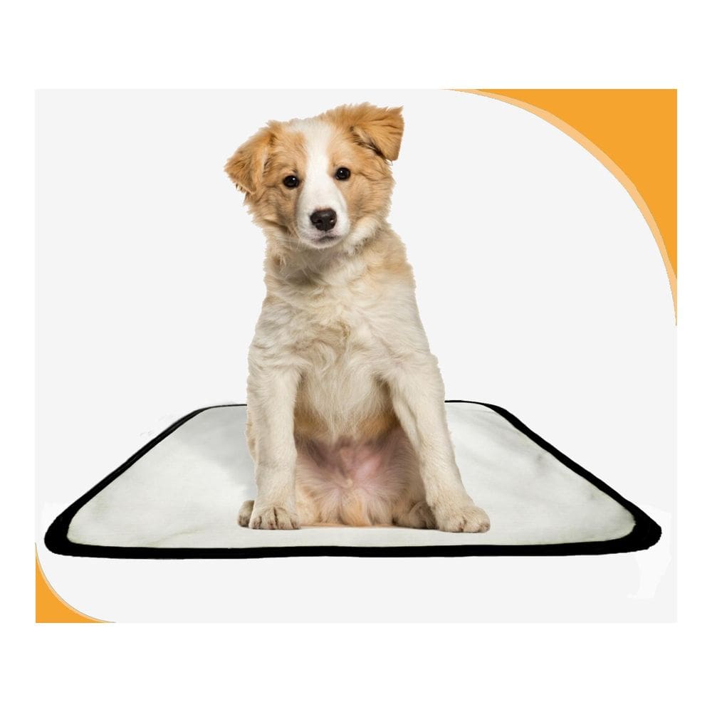 Tapete Pet Lavável Higiênico Estratégico 1 Un P 50X60Cm