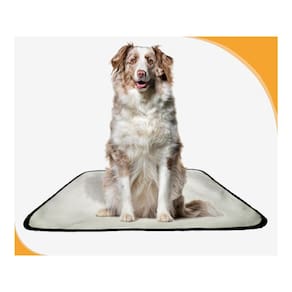 Fralda Móvel Pet Para Cachorros Lavável 5Un G 90X100Cm