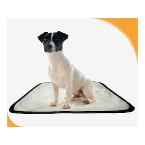 Tapete Dog Para Cães Lavável Absorvente 1 Un P - 50X60 Cm