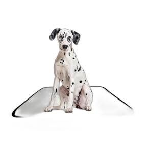 Tapete Para Cães Prático Ecológico 3 Un M 60X80 Cm