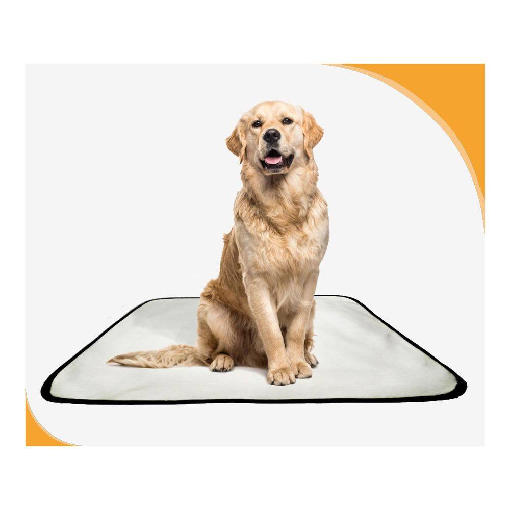 Tapete Para Pets Lavável Canino Prático 4 Un G 90X100Cm