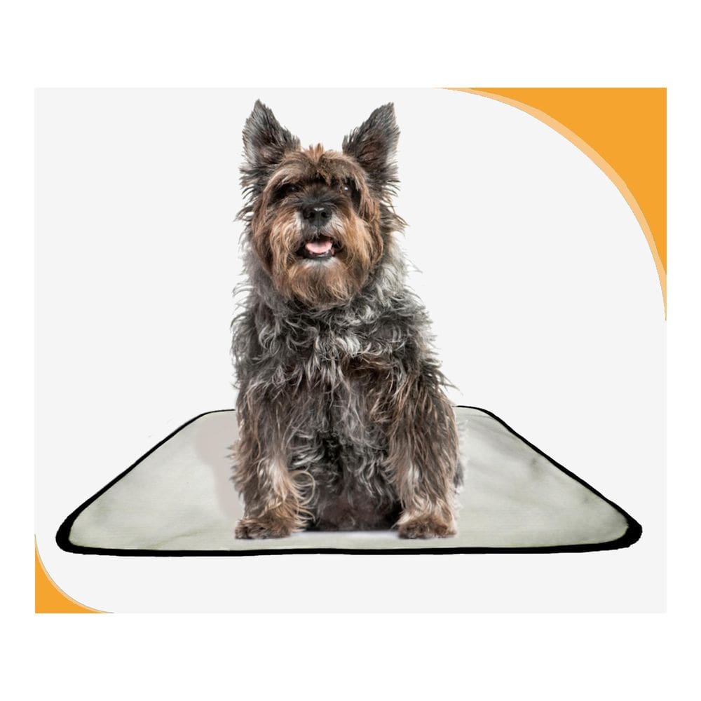 Tapete Higiênico Dog Adestramento 5 Unidade M - 60X80 Cm