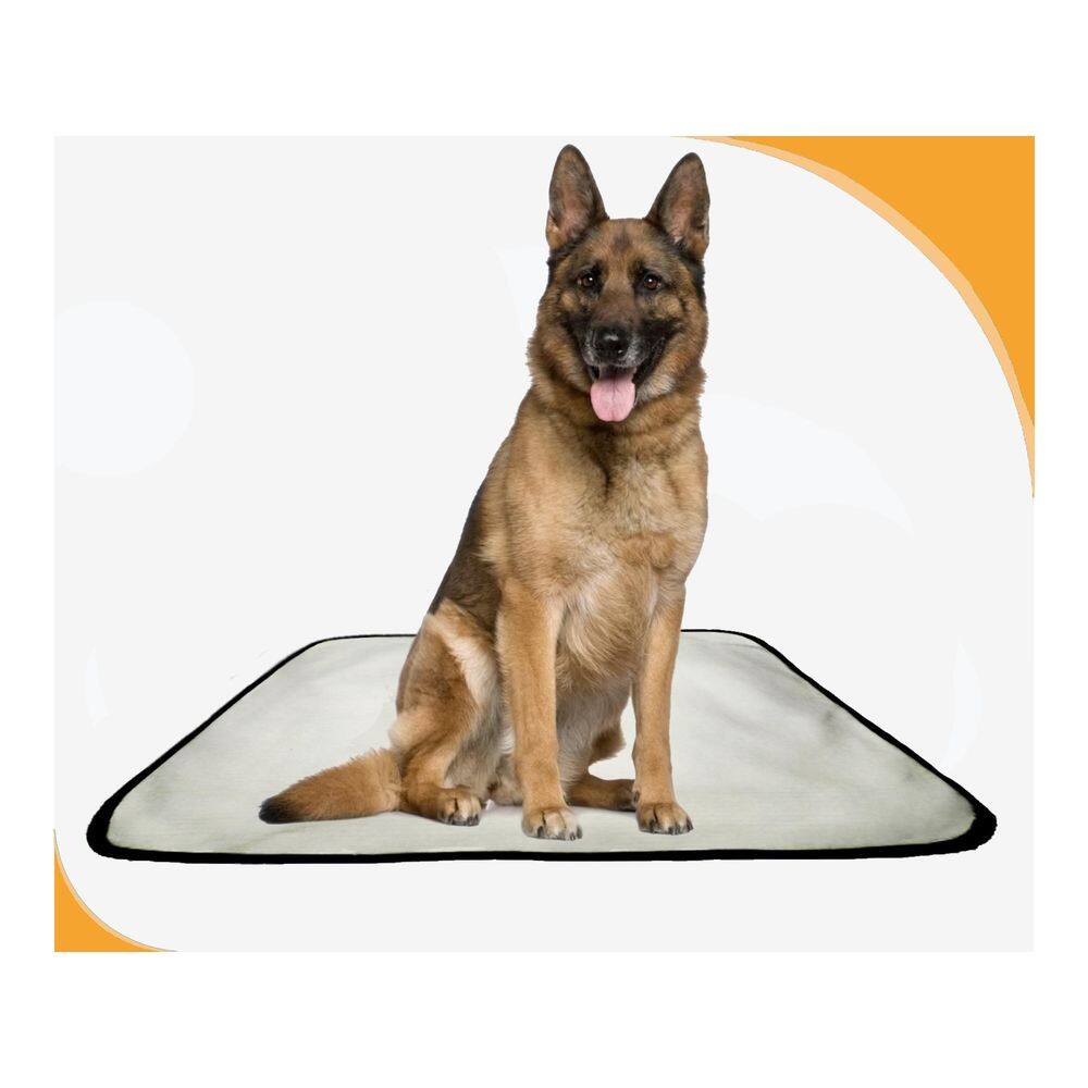 Tapete Para Cães Higiênico Ecológico 5 Un G 90X100Cm