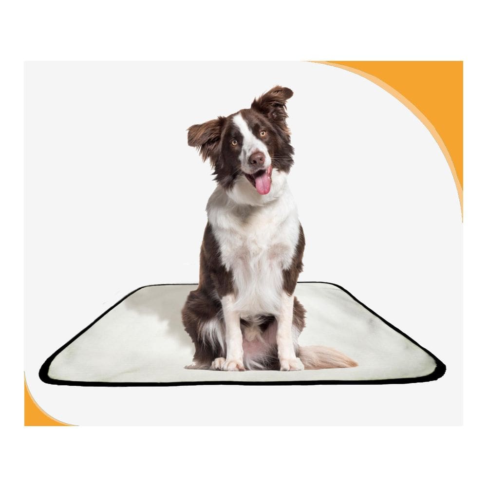 Tapete Pet Higiênico Prático Estratégico 10 Un M 60X80 Cm