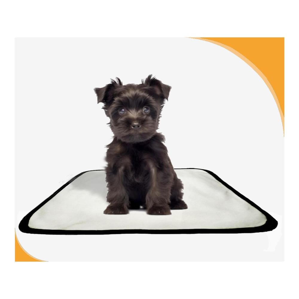 Tapete Para Cães Higiênico Ecológico 10 Un P 50X60Cm