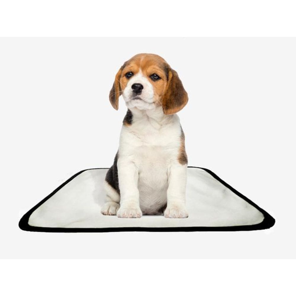 Tapetes Higiênicos Reutilizáveis E Laváveis 1Un Pp 40X50 Cm