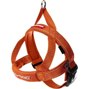 Colete de arnês para cães EzyDog Premium Quick Fit ajustável laranja