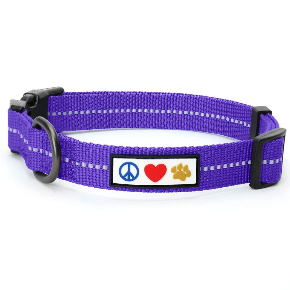 Coleira de cachorro Pawtitas Reciclada Refletiva para cães extra pequenos