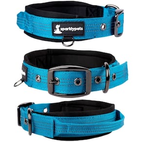 Coleira para cães SparklyPets Heavy Duty com alça para médio/grande