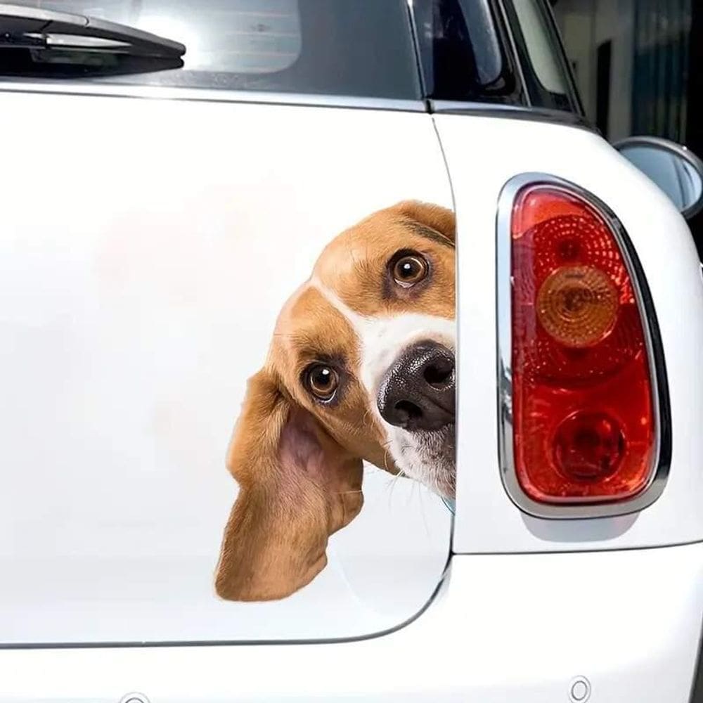 Adesivo Para Carro Beagles Espiando