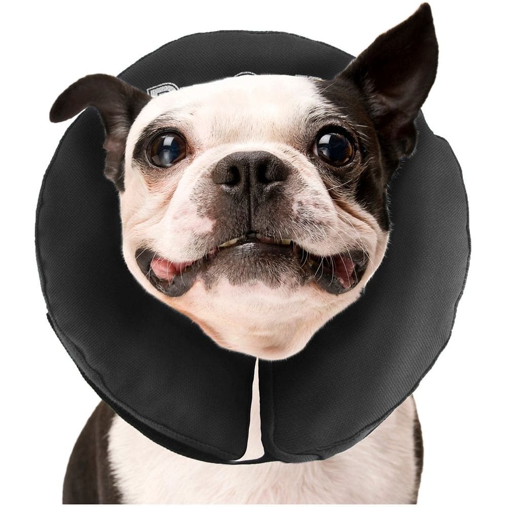 Coleira de recuperação ZenPet Protective Inflável para cães e gatos