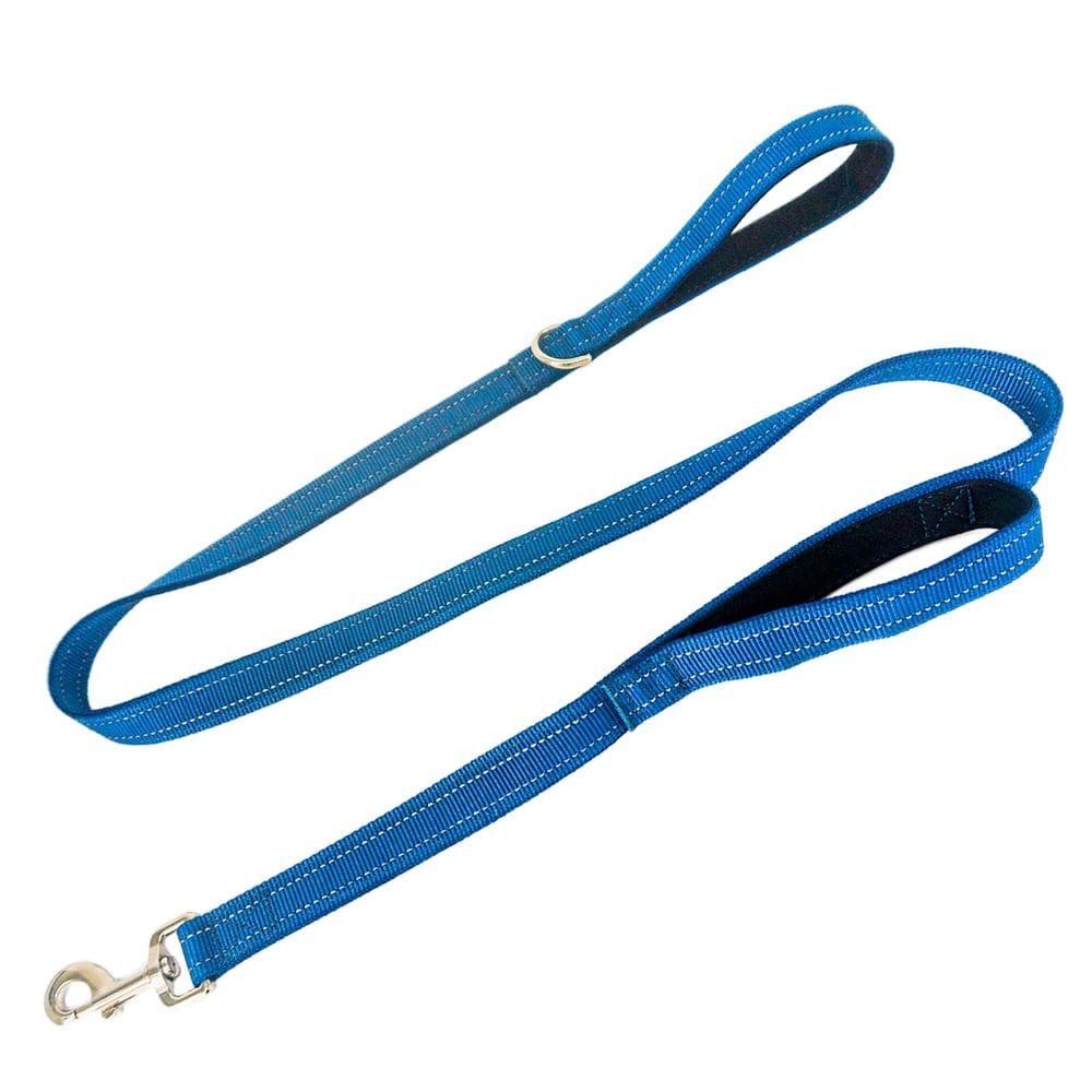 Capa de coleira para cães Geny com alça acolchoada dupla de nylon, azul refletivo