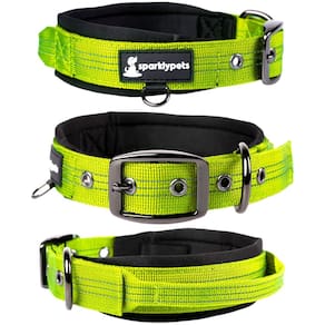Coleira para cães SparklyPets Heavy Duty com alça para médio/grande