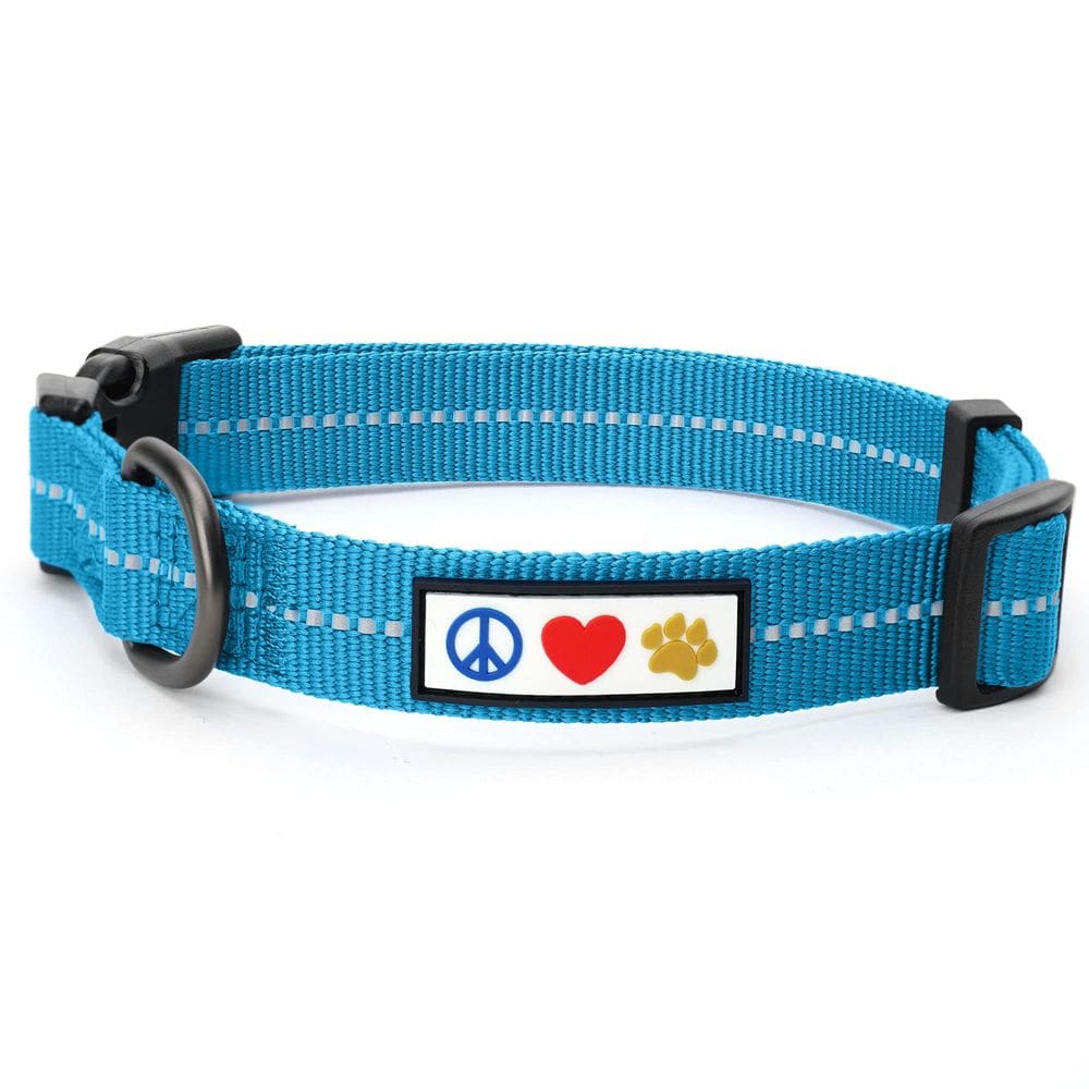 Coleira para cães Pawtitas Reciclada Refletiva Pequena Azul-turquesa